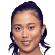 哈兰德对决 哈兰德对决