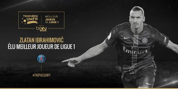 反哺训练与 反哺训练与