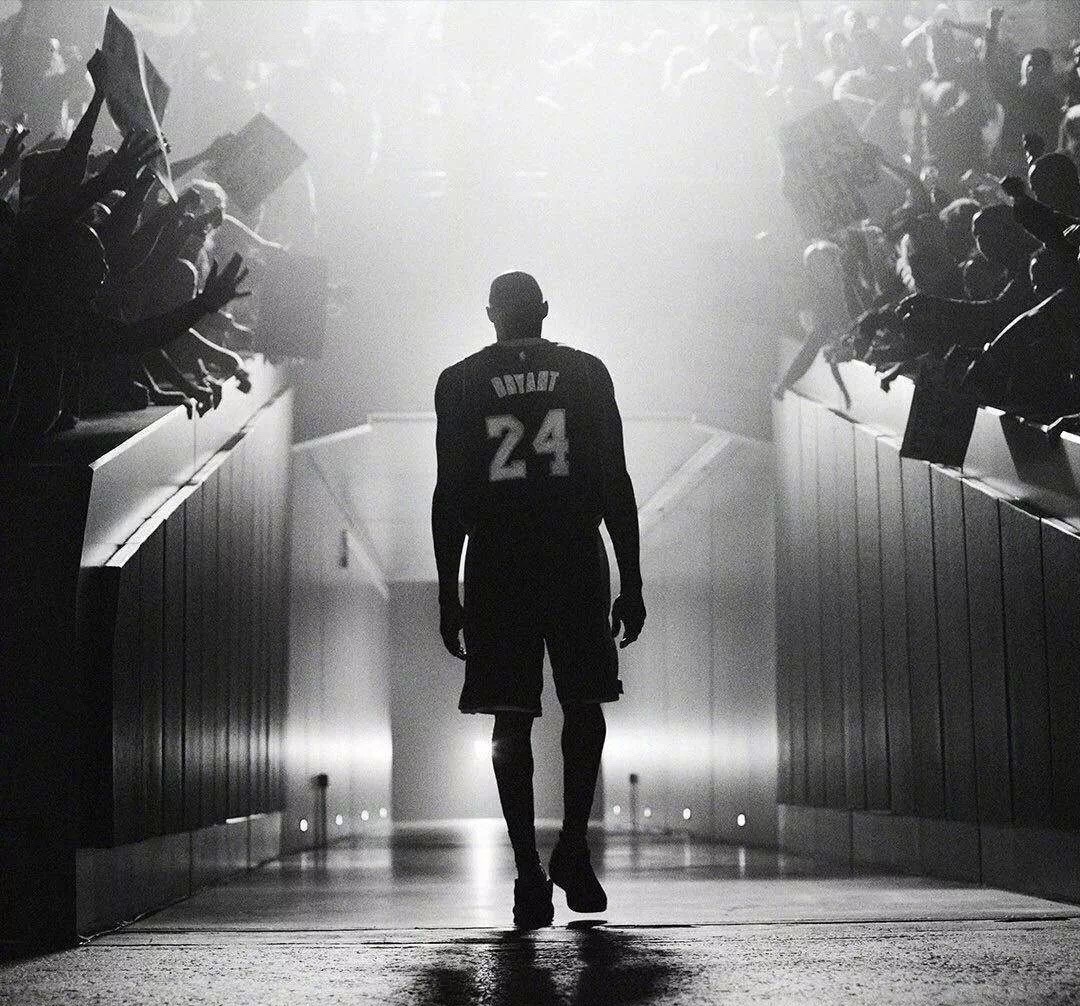 球场容量及 球场容量及